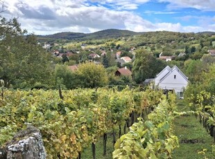 Eladó telek Ábrahámhegy