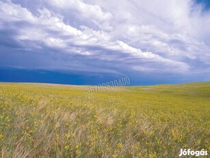 Eladó telek, Dabas Dabas, 17990000 Ft, 1445 nm