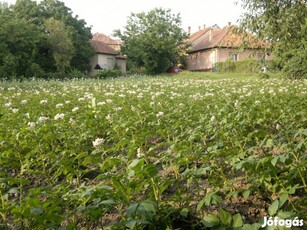 Építési telek eladó Mogyoródon