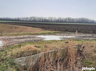 Győrújbarát határában aszfaltozott útról megközelíthető Szántó Eladó