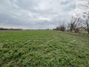 Kecskemét közelében 6000 m2-es külterületi telek eladó!