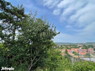 Örökpanorámás lakóövezeti telek Budakeszin - befektetőknek és magánvás