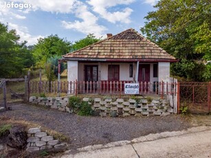 Szekszárd, Kisbödő, különleges zártkert villannyal és fúrt kúttal