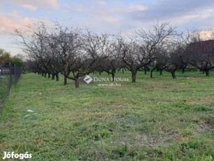 Úrhidai 3185 nm-es telek eladó