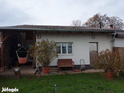 Iváncsa mellett, Beloianniszon, eladó felújíított családi ház