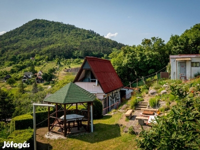 Nyaraló csodálatos panorámával, pincével Sátoraljaújhely - Várhegyen