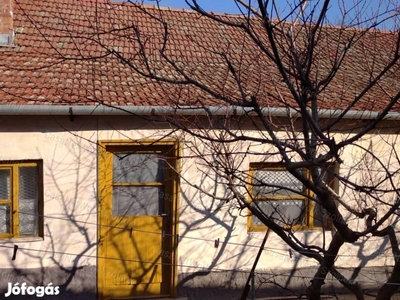 Tiszaföldváron eladó kertes családi ház!