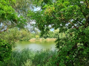 Eladó telek Szigetcsép, Dunasor utca