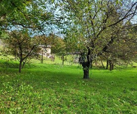 Eladó telek - Zalaegerszeg