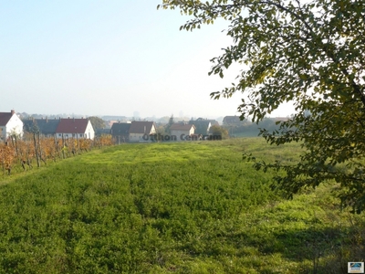 Eladó termőföld, szántó - Balatonfüred