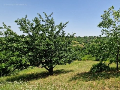 Keszü, ingatlan, telek, 3.200.000 Ft