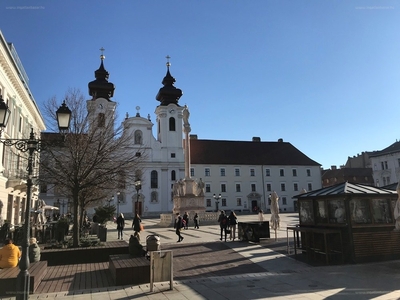 Belváros, Győr, ingatlan, üzleti ingatlan, 42 m2, 12.000.000 Ft