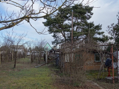 Debrecen, Biczó István-kert zárkerti ingatlan eladó - Debrecen, Hajdú-Bihar - Szőlőskert-pince