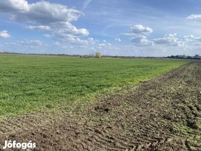 Eladó Termőföld - Hódmezővásárhely - Hódmezővásárhely, Csongrád-Csanád - Termőföld