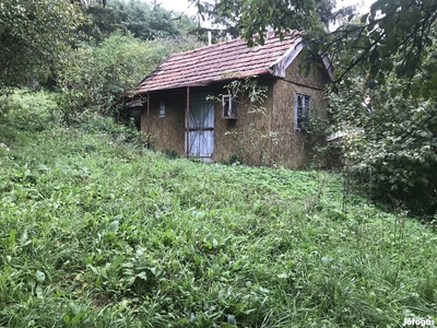 Zalaistvánd, Alhegy 5286 m2 kert és pince eladó - Gyűrűs, Pókaszepetk, Zalaistvánd, Zala - Szőlőskert-pince