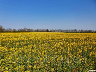 Vág - építési telek eladó - Rábasebes, Vág, Győr-Moson-Sopron - Telek, föld