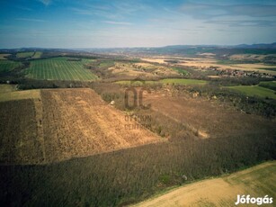 Bókaházai eladó mezőgazdasági ingatlan