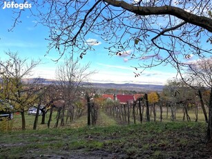 Etyek Újhegyen, buszhoz közel, 1315 nm-es telek faházzal