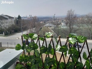 Panorámás 56 m2 frissen felújított bútorozott lakás, eladó!