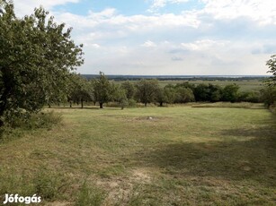 Pázmánd, Szőlőhegy panorámás telek