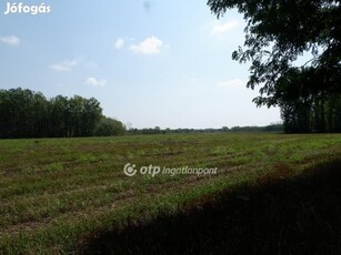 Pusztamérges határában 24 hektár mezőgazdasági terület eladó