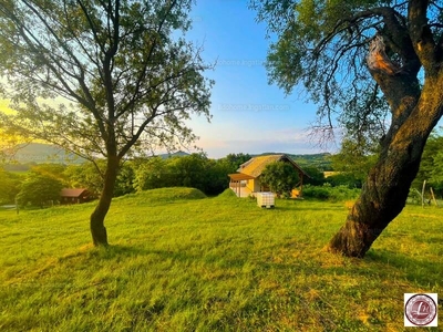 Eladó hétvégi házas nyaraló - Káptalantóti, Veszprém megye