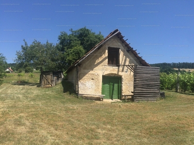 Eladó pince, présház - Balatonszőlős, Veszprém megye