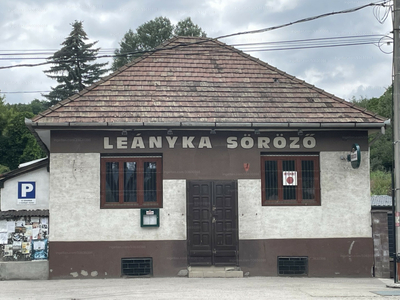 Eladó utcai bejáratos üzlethelyiség - Leányvár, Bécsi út 54.