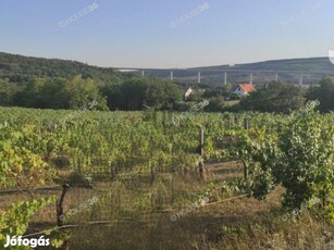 A BALATONNÁL, KŐRÖSHEGYEN PANORÁMÁS PRÉSHÁZ/ PINCE ELADÓ