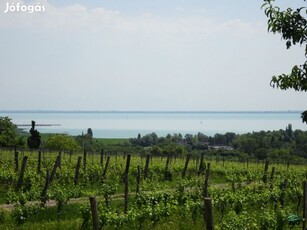 Csopakon panorámás ikerház eladó