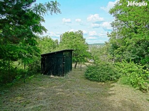 Hegyvidéki táj, káprázatos panorámával Budapesten!