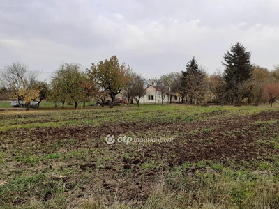 Csongrád, ingatlan, nyaraló, 44 m2, 13.000.000 Ft