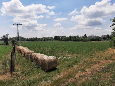 Eladó telek - Gyula