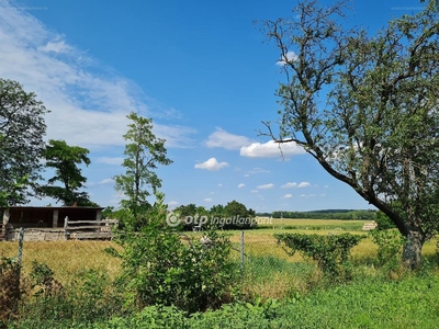 Mencshely, ingatlan, üzleti ingatlan, 17310 m2, 140.000.000 Ft