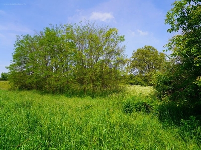 Kisgörbő, Kisgörbő, ingatlan, nyaraló, 30 m2, 15.900.000 Ft