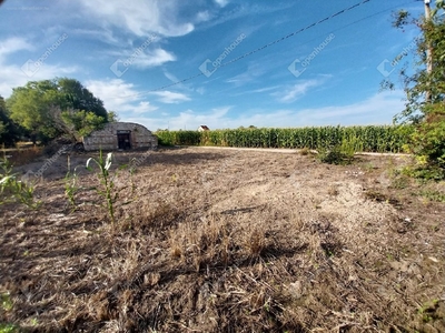 Polgárdi, ingatlan, ház, 1800 m2, 11.000.000 Ft