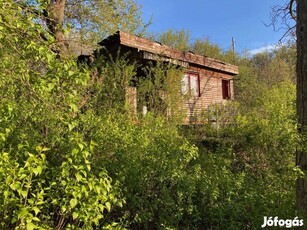 Törökbálinti panorámás telek kis faházzal