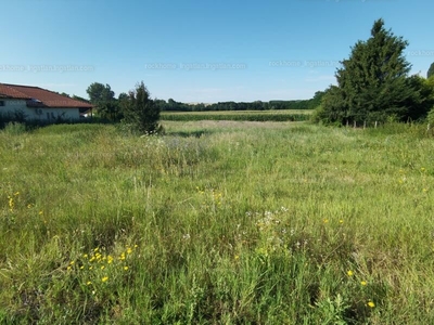 Eladó lakóövezeti telek - Dány, Szentkirály