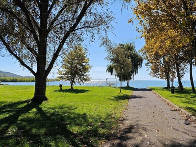 Eladó vegyes (lakó- és kereskedelmi) terület - Balatonfűzfő, Fűzfőfürdő