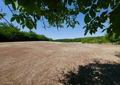 Fülöp, ingatlan, mezőgazd. ingatlan, 63 m2, 35.000.000 Ft