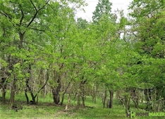 Kiskunmajsa, ingatlan, mezőgazd. ingatlan, 5100 m2, 550.000 Ft