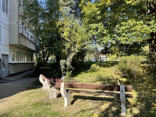 Gödöllő, Palotakert