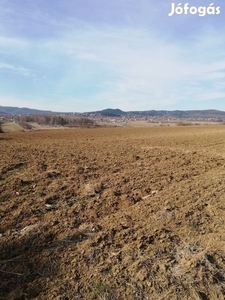 Eladó mezőgazdasági, Pilisvörösvár, 4019 m2 - Pilisvörösvár, Pest - Egyéb