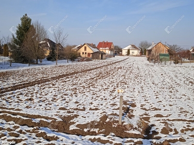 Magyarszentmiklós, eladó telek