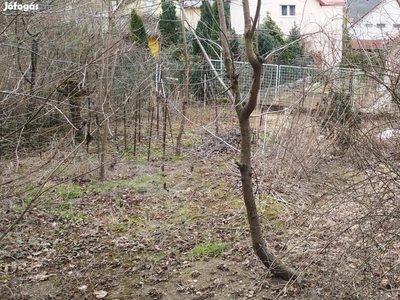 Miskolc-Tapolcán közművesített építési telek eladó - Miskolc, Borsod-Abaúj-Zemplén - Telek, föld