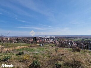 2196 nm-es telek eladó Pákozd