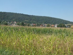 Eladó telek Tordas