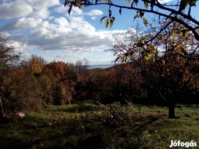 Balatoni panorámás külterületi telek