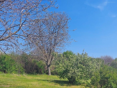 Sukoró, ingatlan, mezőgazd. ingatlan, 1500 m2, 9.500.000 Ft