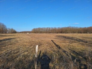 Eladó telekKecskemét